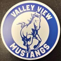 Mustang Car Magnet Product Image